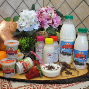 Latte e Yogurt